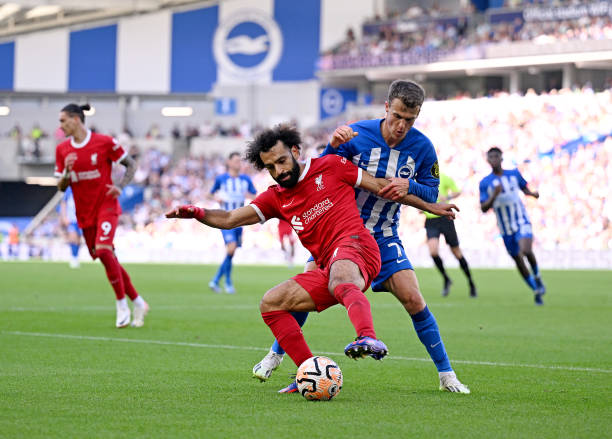 场的呐喊声 场的呐喊声